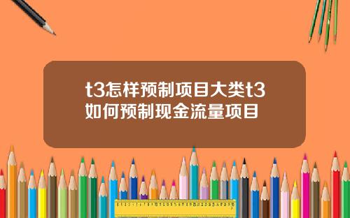 t3怎样预制项目大类t3如何预制现金流量项目
