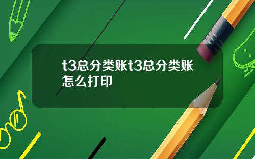 t3总分类账t3总分类账怎么打印