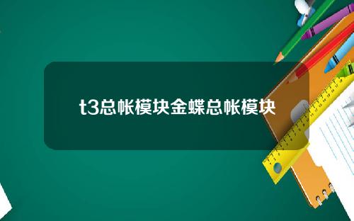 t3总帐模块金蝶总帐模块