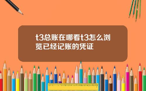 t3总账在哪看t3怎么浏览已经记账的凭证
