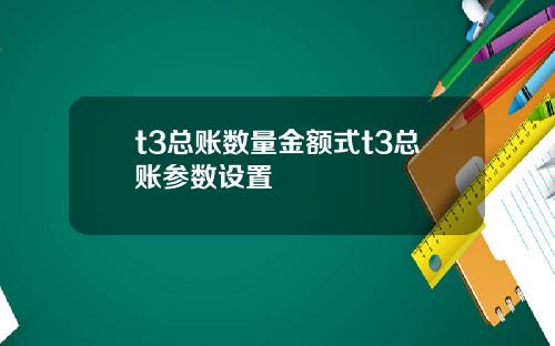 t3总账数量金额式t3总账参数设置