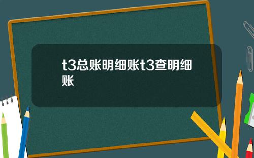 t3总账明细账t3查明细账