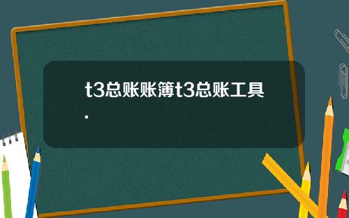 t3总账账簿t3总账工具.