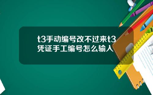 t3手动编号改不过来t3凭证手工编号怎么输入