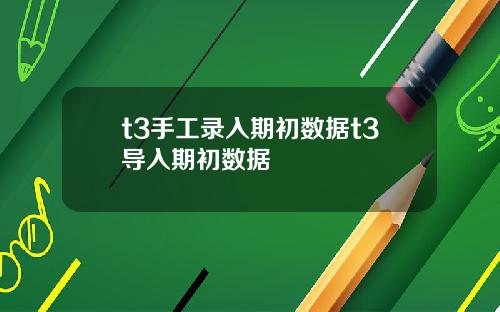 t3手工录入期初数据t3导入期初数据