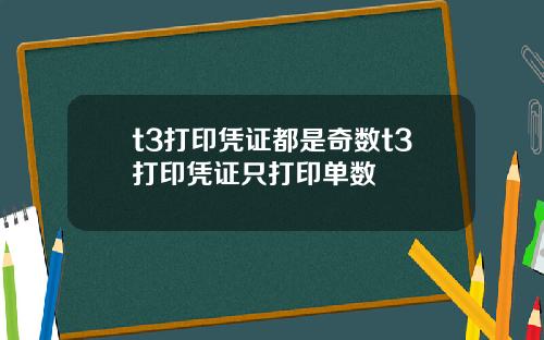 t3打印凭证都是奇数t3打印凭证只打印单数