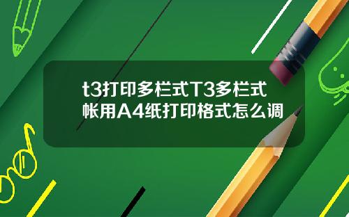 t3打印多栏式T3多栏式帐用A4纸打印格式怎么调