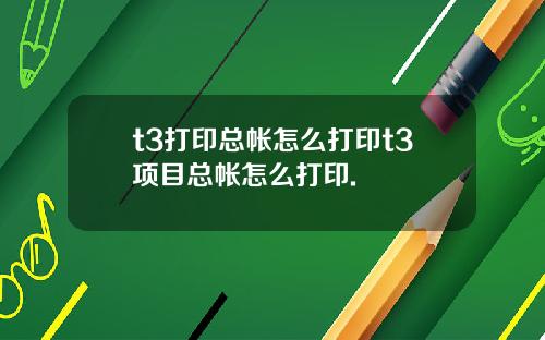 t3打印总帐怎么打印t3项目总帐怎么打印.