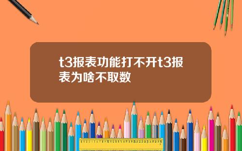 t3报表功能打不开t3报表为啥不取数
