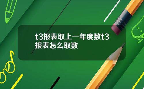 t3报表取上一年度数t3报表怎么取数