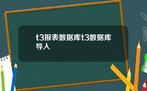 t3报表数据库t3数据库导入