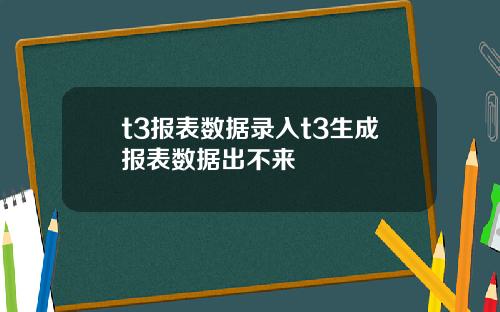 t3报表数据录入t3生成报表数据出不来