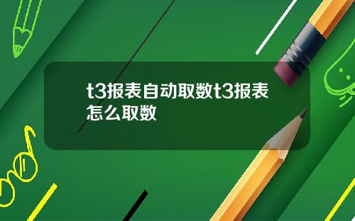 t3报表自动取数t3报表怎么取数