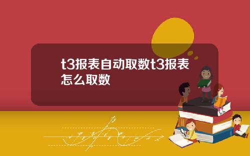 t3报表自动取数t3报表怎么取数