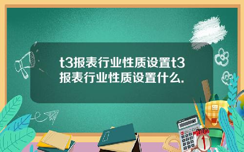 t3报表行业性质设置t3报表行业性质设置什么.