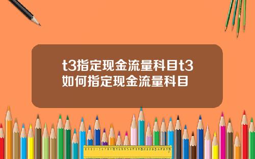 t3指定现金流量科目t3如何指定现金流量科目