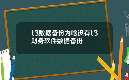 t3数据备份为啥没有t3财务软件数据备份