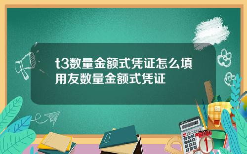 t3数量金额式凭证怎么填用友数量金额式凭证