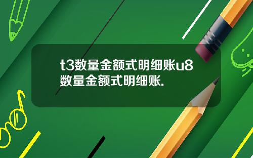 t3数量金额式明细账u8数量金额式明细账.