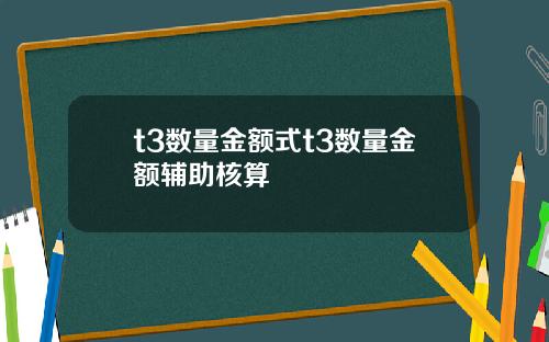 t3数量金额式t3数量金额辅助核算