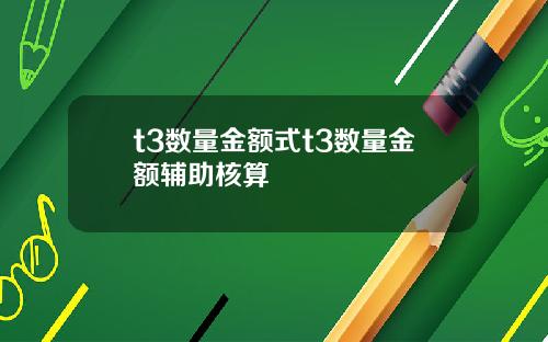 t3数量金额式t3数量金额辅助核算