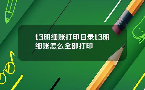 t3明细账打印目录t3明细账怎么全部打印