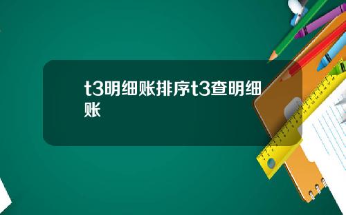 t3明细账排序t3查明细账