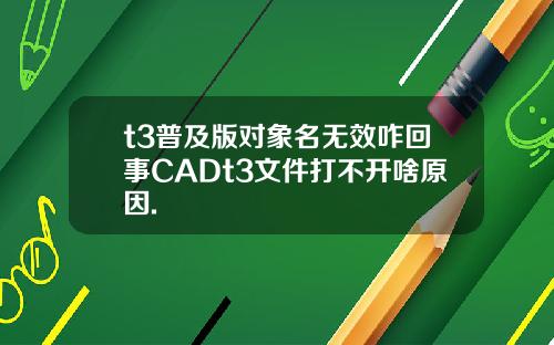 t3普及版对象名无效咋回事CADt3文件打不开啥原因.