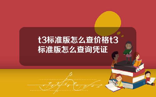 t3标准版怎么查价格t3标准版怎么查询凭证