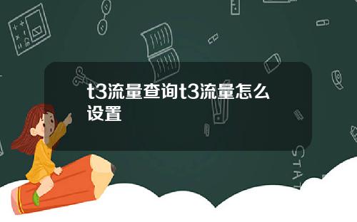 t3流量查询t3流量怎么设置