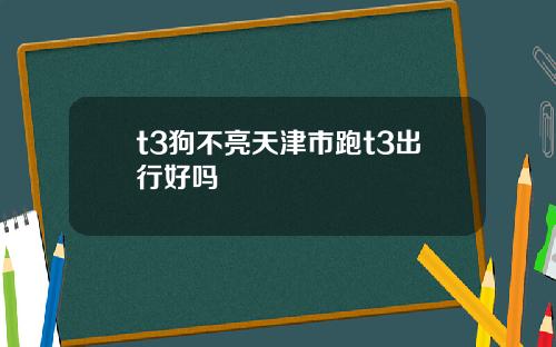 t3狗不亮天津市跑t3出行好吗