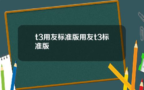 t3用友标准版用友t3标准版