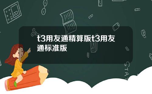 t3用友通精算版t3用友通标准版