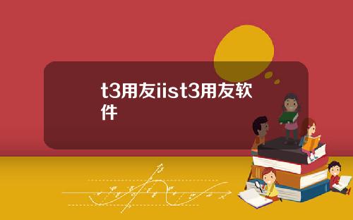 t3用友iist3用友软件