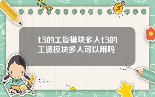 t3的工资模块多人t3的工资模块多人可以用吗