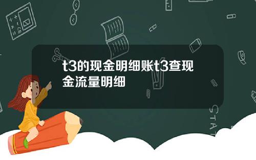 t3的现金明细账t3查现金流量明细