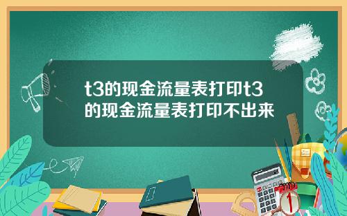 t3的现金流量表打印t3的现金流量表打印不出来