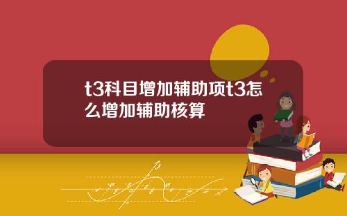 t3科目增加辅助项t3怎么增加辅助核算