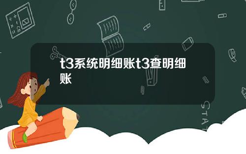 t3系统明细账t3查明细账