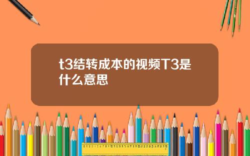 t3结转成本的视频T3是什么意思