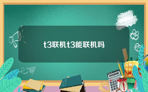 t3联机t3能联机吗