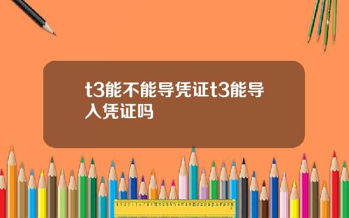 t3能不能导凭证t3能导入凭证吗