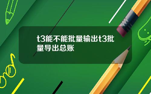 t3能不能批量输出t3批量导出总账