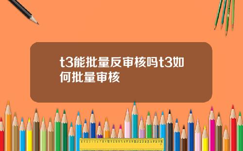 t3能批量反审核吗t3如何批量审核