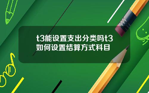 t3能设置支出分类吗t3如何设置结算方式科目
