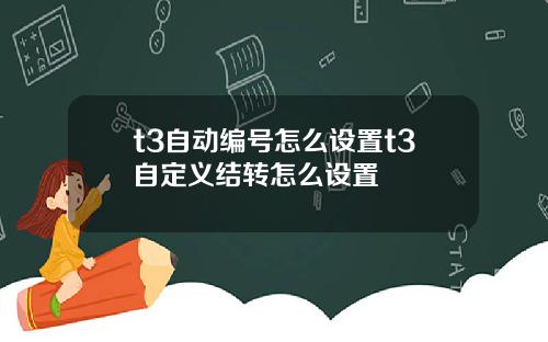 t3自动编号怎么设置t3自定义结转怎么设置