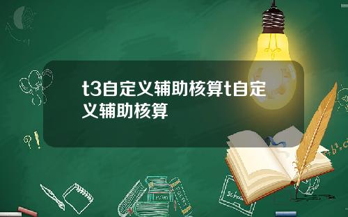 t3自定义辅助核算t自定义辅助核算