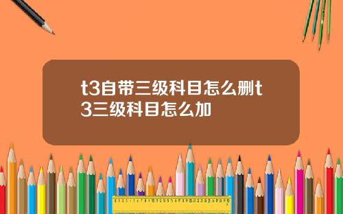 t3自带三级科目怎么删t3三级科目怎么加