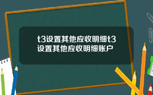 t3设置其他应收明细t3设置其他应收明细账户