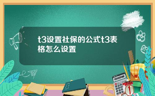 t3设置社保的公式t3表格怎么设置
